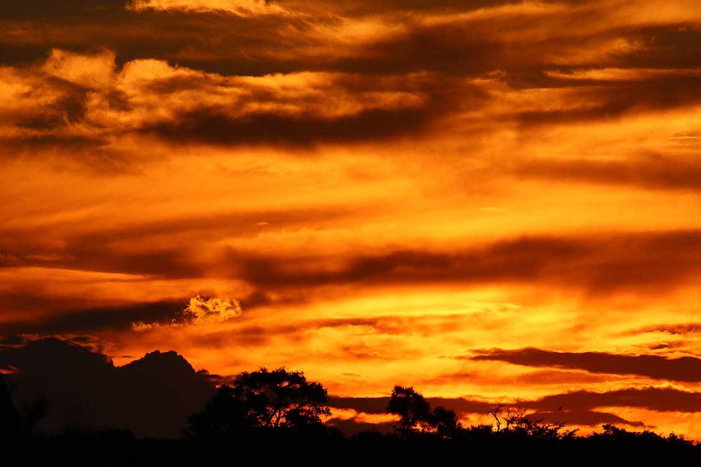 Sonnenuntergang, Central Kalahari GR