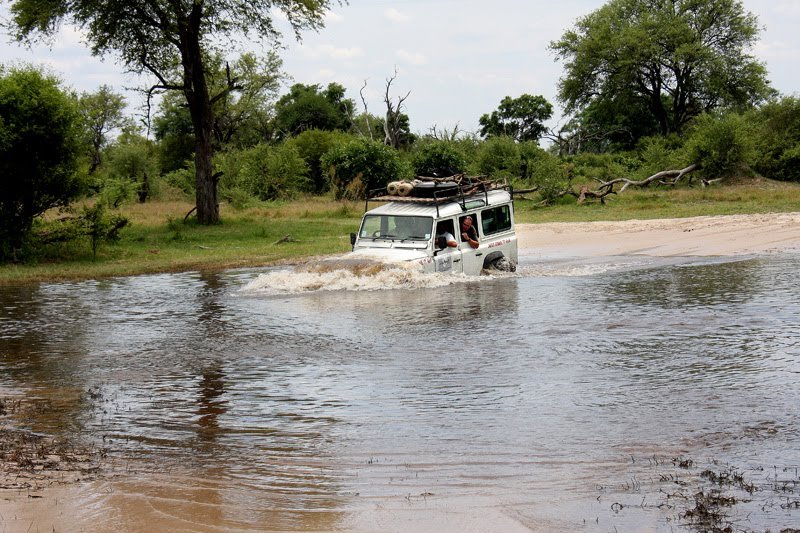 Moremi Wasserquerung