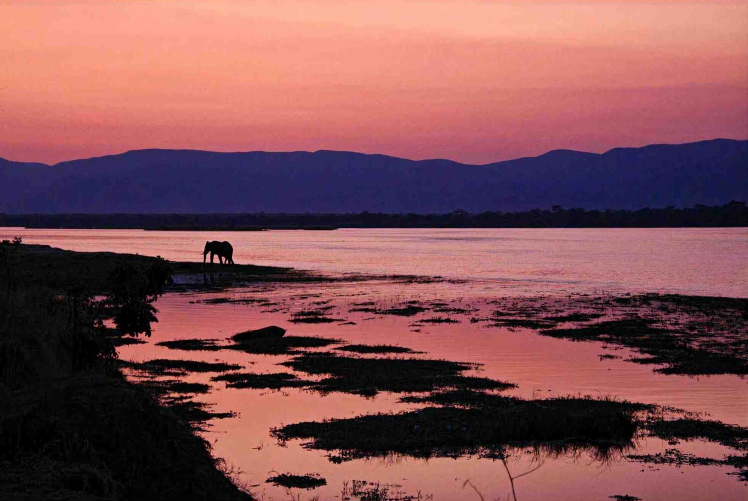 Nyamepi, Sonnenuntergang am Zambezi